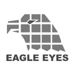 Eagle eyes posūkiai, jų dalys